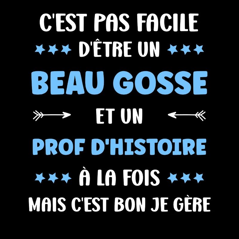 prof histoire