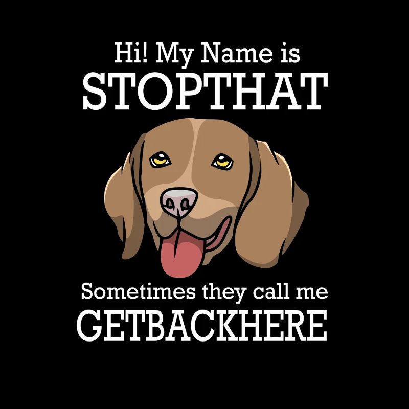 Deutsch Kurzhaar Hund German Pointer