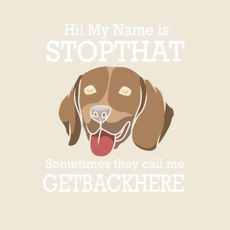 German Shorthair Dog German Pointer