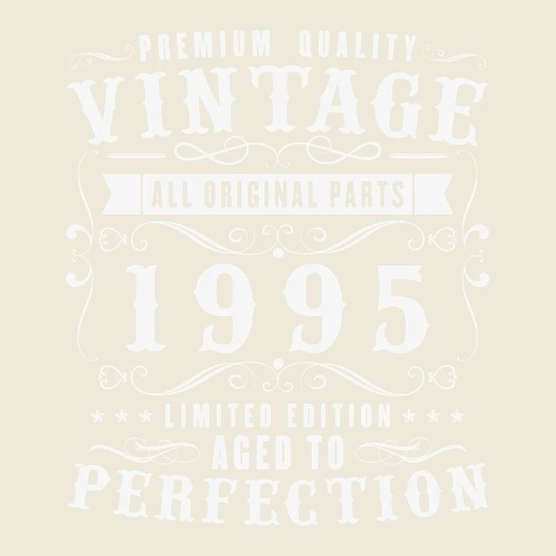 30 Years 1995 Vintage Retro Birthday Gift