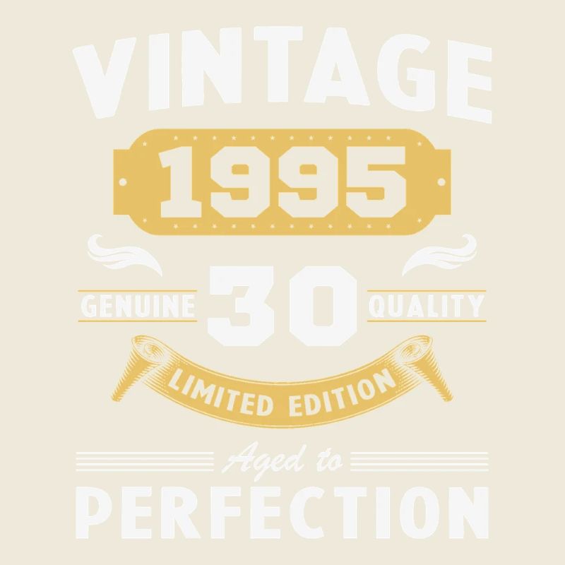 30 Years 1995 Vintage Retro Birthday Gift