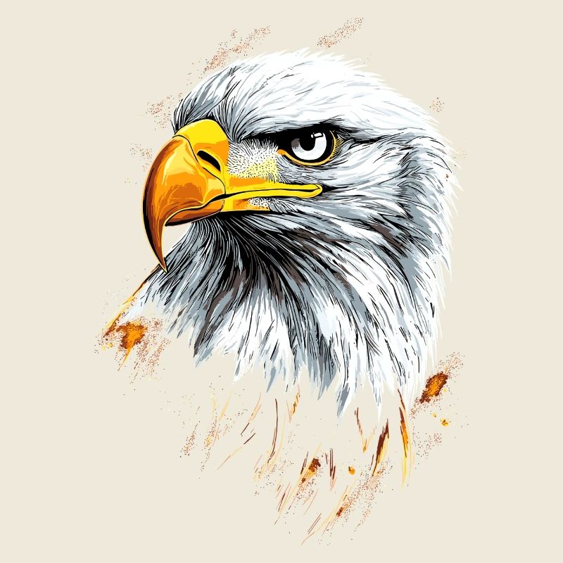 Eagle Bald Eagle Golden Eagle White-tailed Eagle