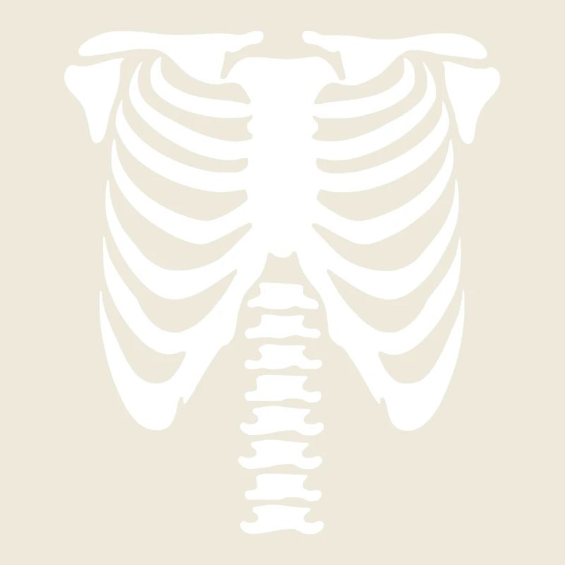 Skeleton Torso