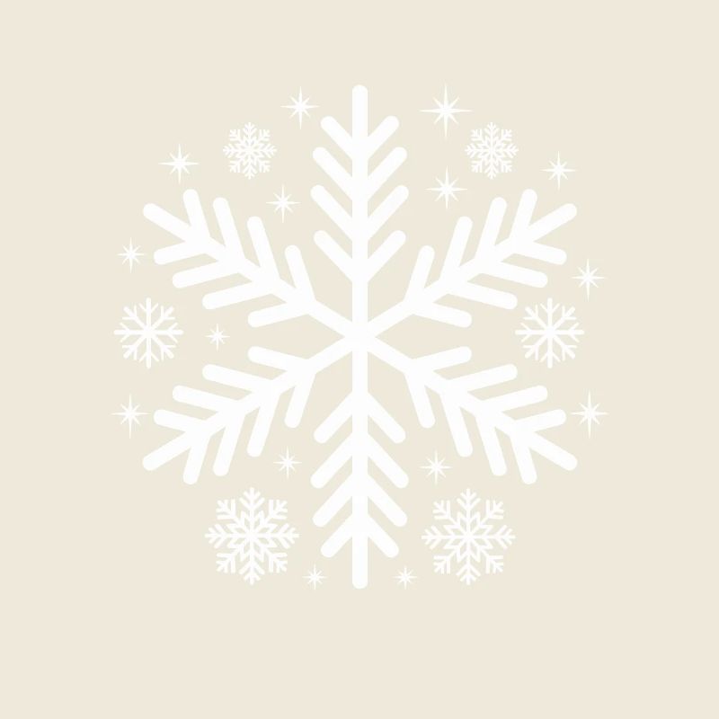 Flocon de neige Costume d’hiver Noël Assorti