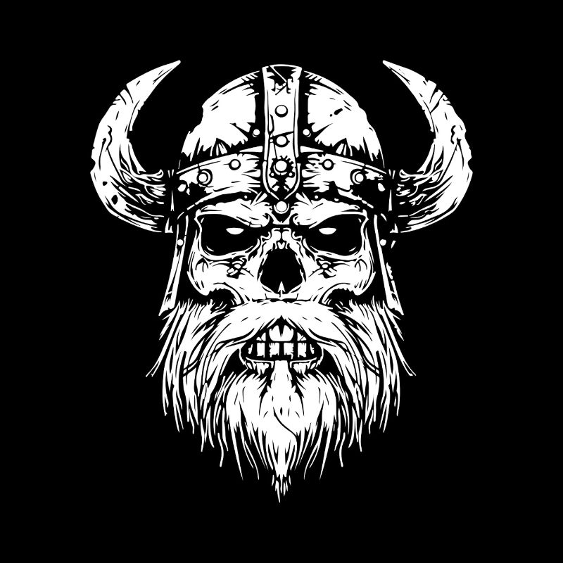 Viking Skull with Horns