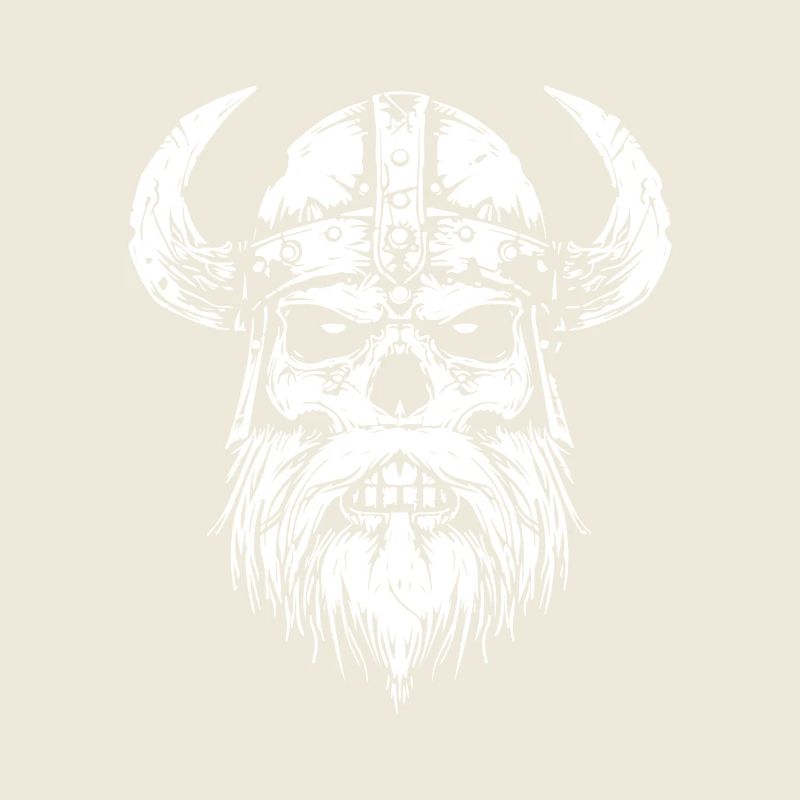 Wikinger Schädel mit Hörnern