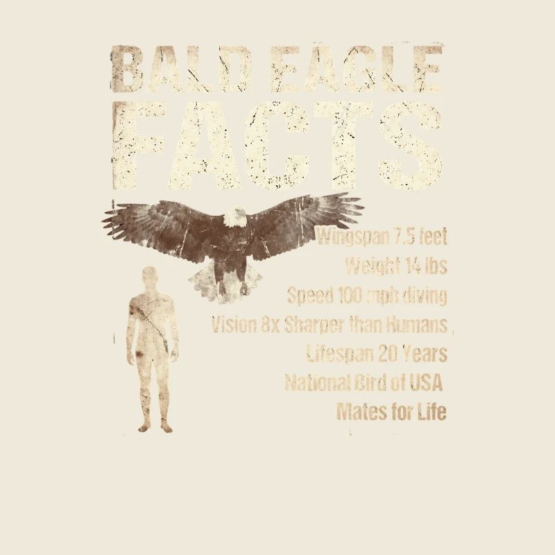 Bald Eagle Facts Bald Eagle Info