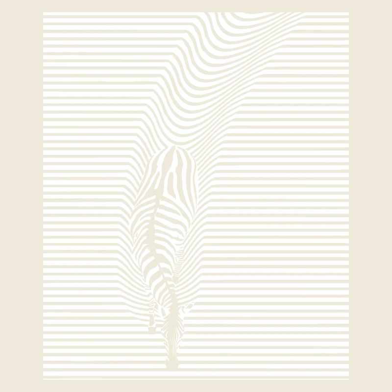 Zebra Art