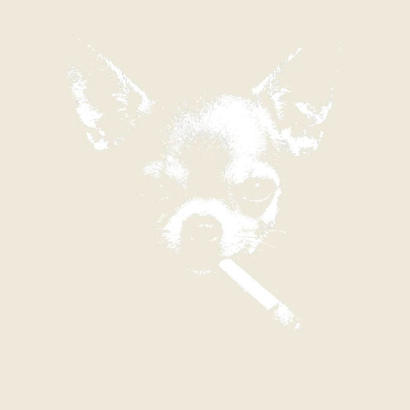 Chihuahua Noir mit Zigarette