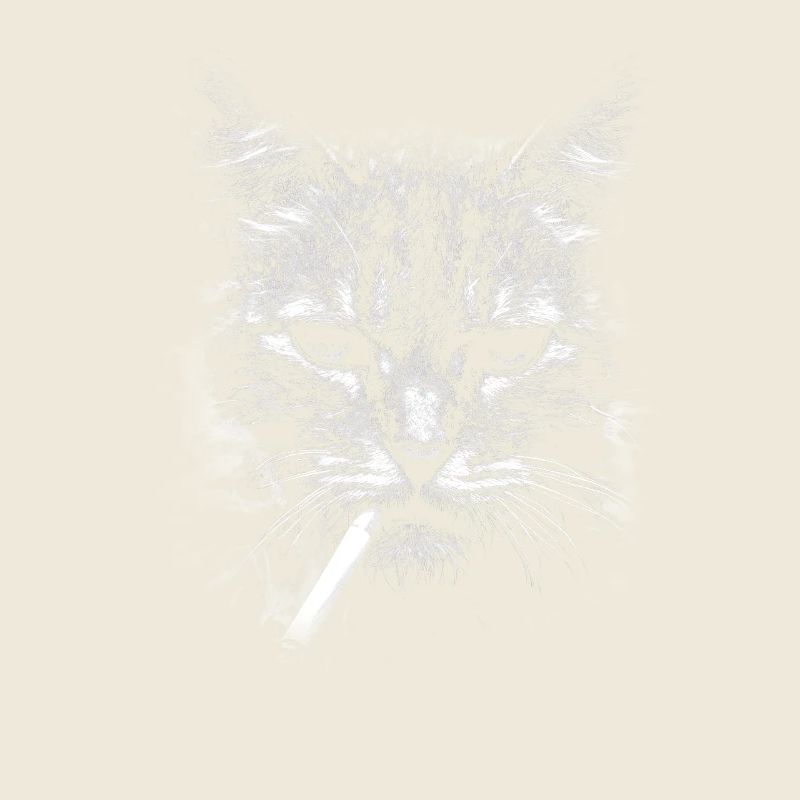 Smoking, cigarette, cat smoking a cigarette