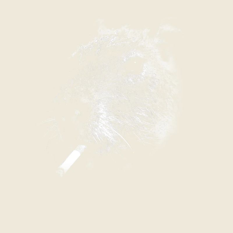 Fumer, cigarette, capybara, fumer une cigarette