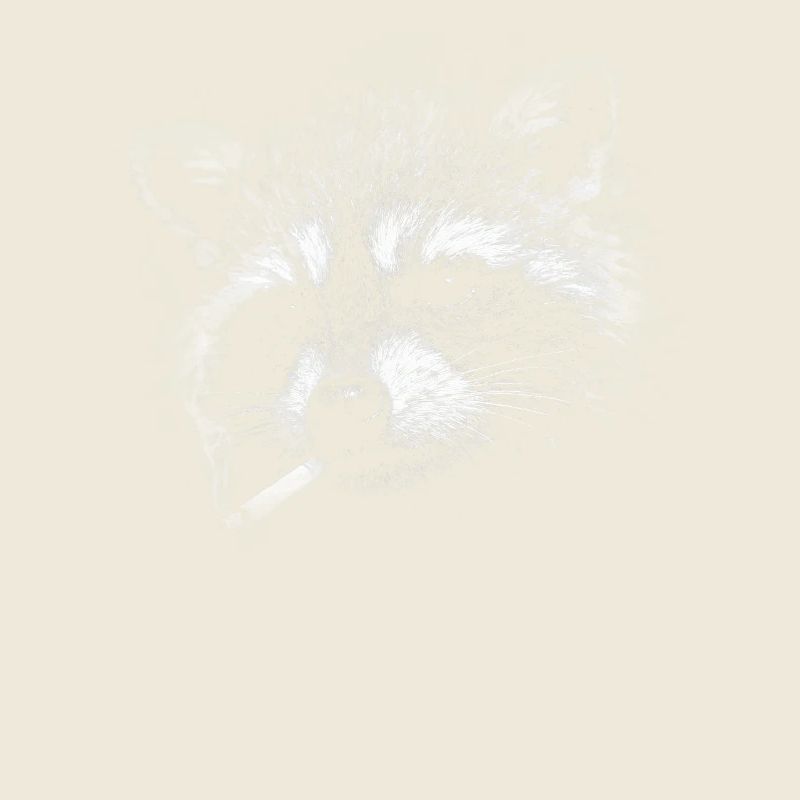 Rauchen, Zigarette, Waschbär raucht eine Zigarette