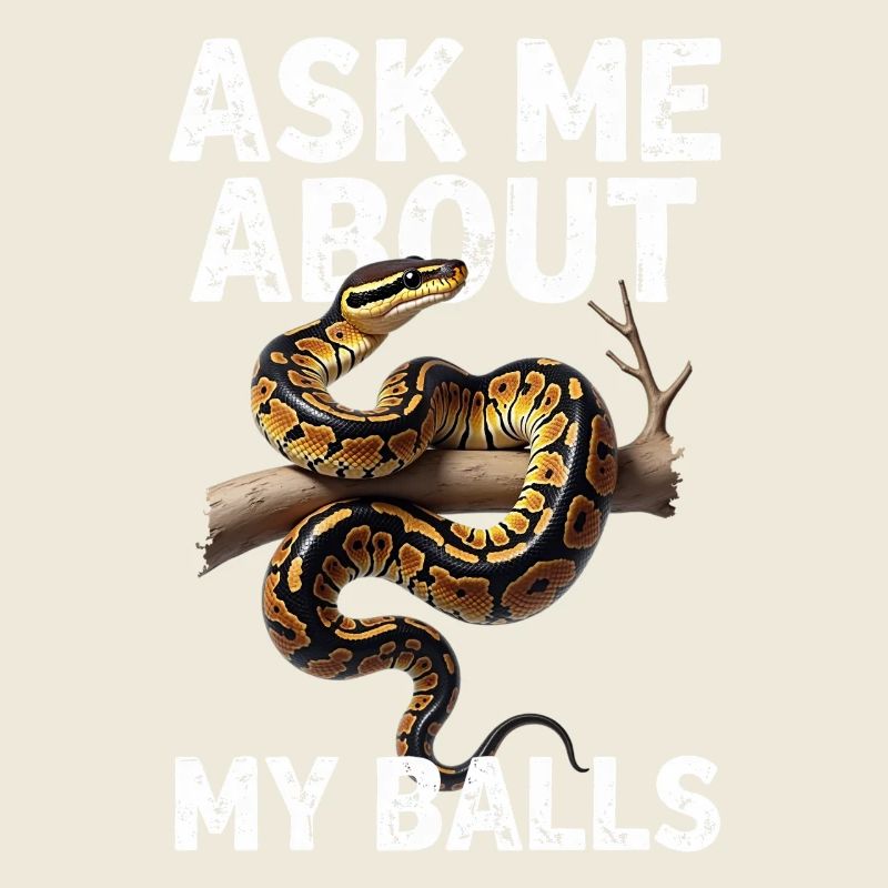 Python roi Serpents Amateurs de terrarium Python