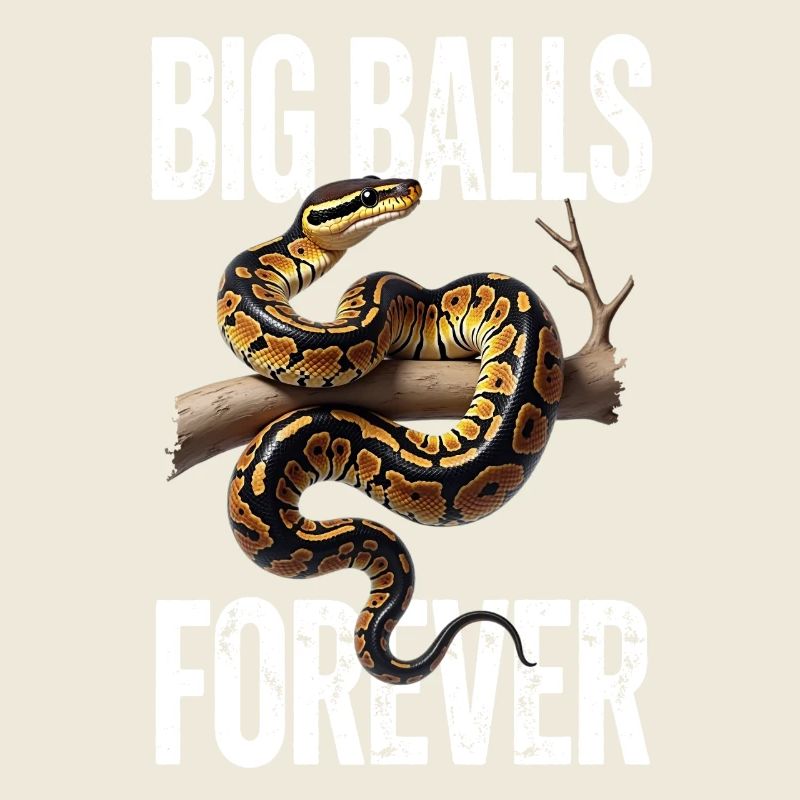 Python roi Serpents Amateurs de terrarium Python