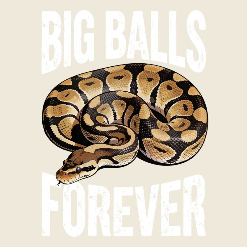 Königspython Schlangen Liebhaber Terrarium Python