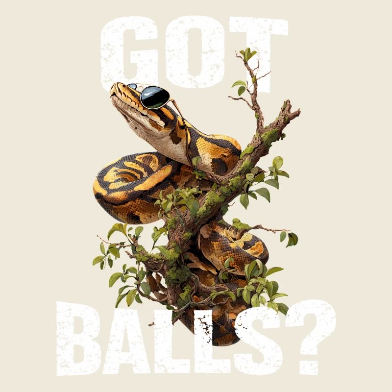 Python roi Serpents Amateurs de terrarium Python