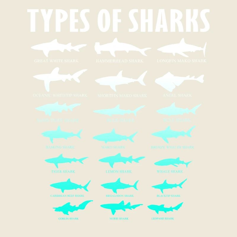 Types de requins Conception des requins d’océan | Chemise de requin