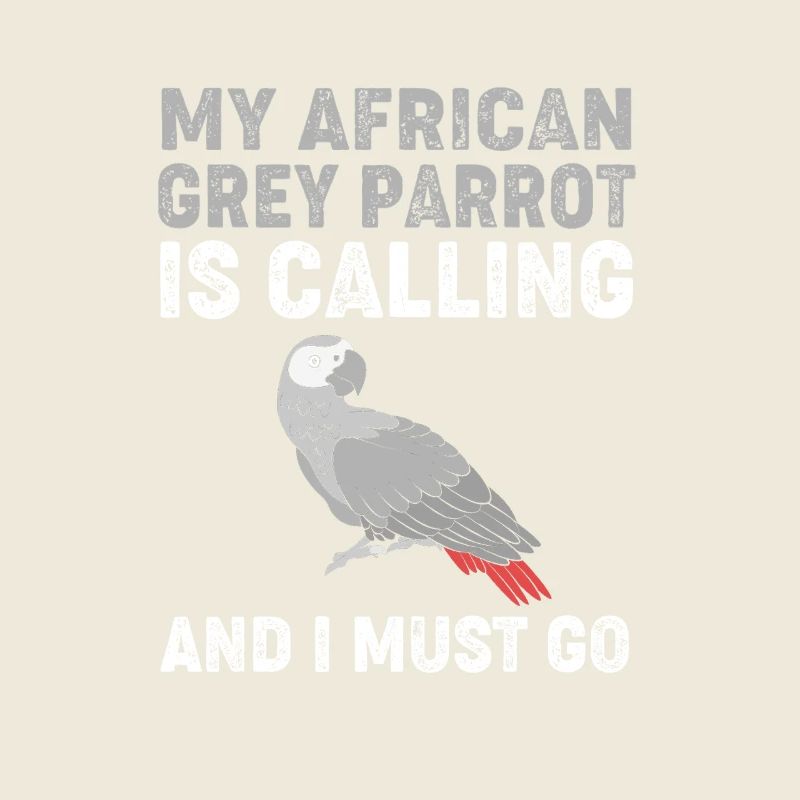 Papagei Grau Graupapagei