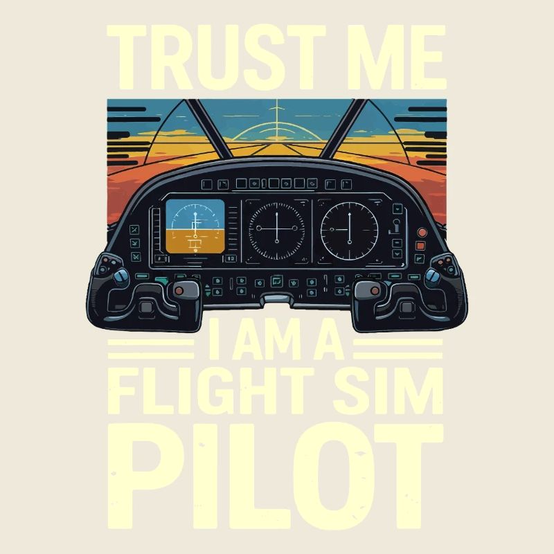 Vertrau mir ich bin ein Flugsimulatorpilot