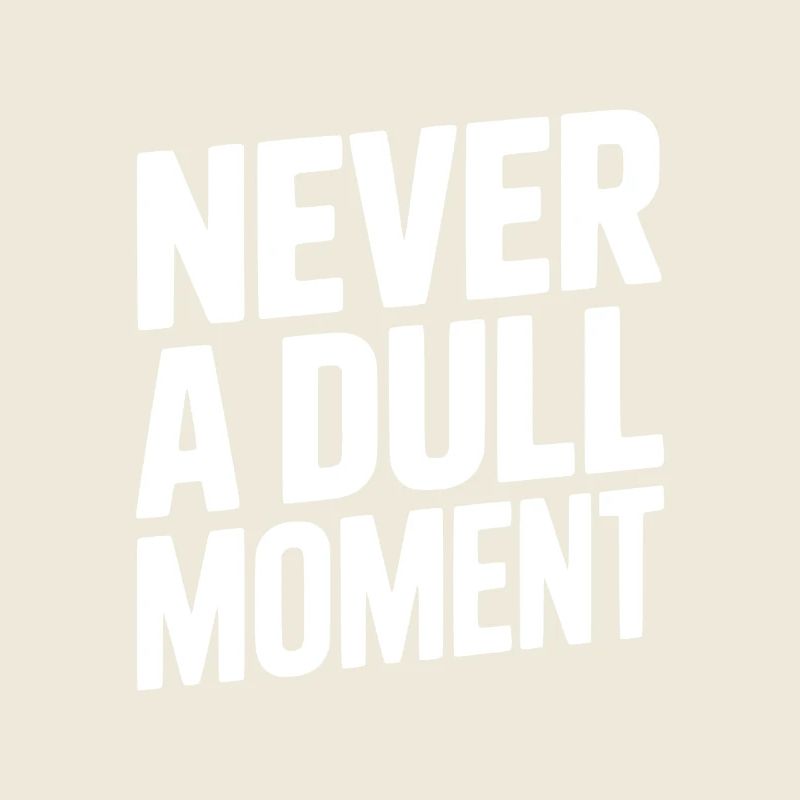 Never a Dull Moment