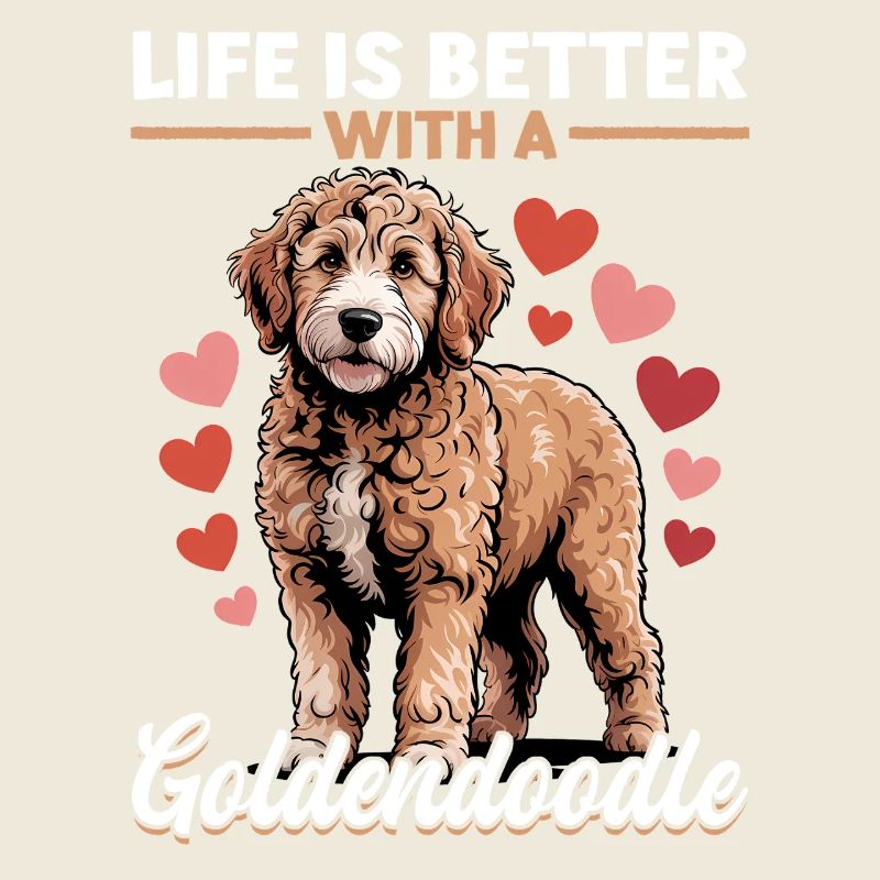 Race de chien Goldendoodle