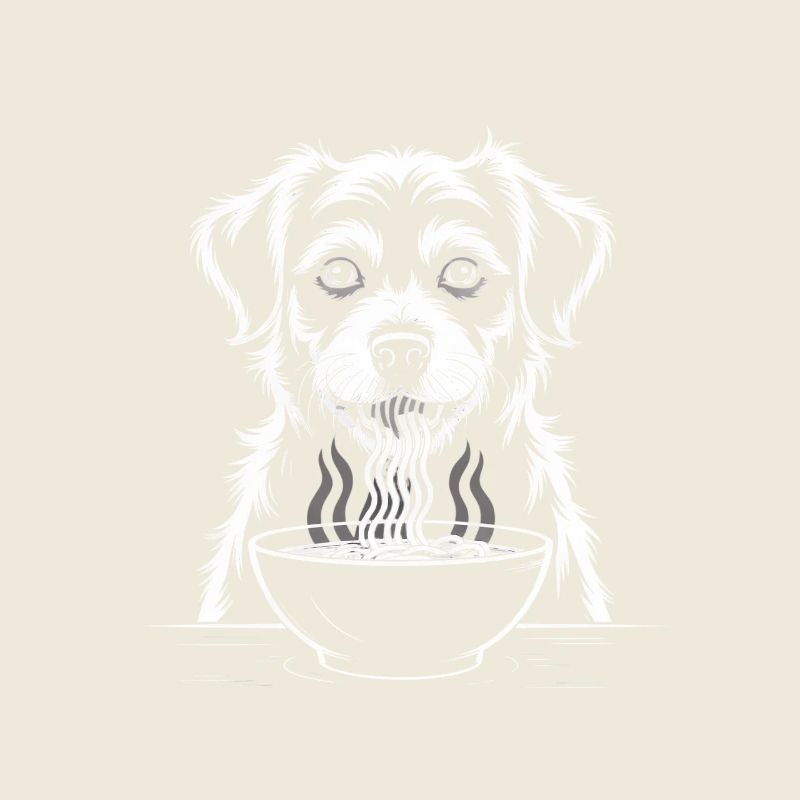 Labrador mange du ramen