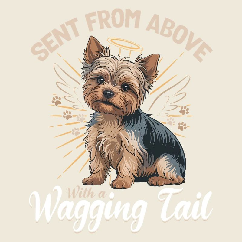 Yorkshire Terrier Yorkshire Race de chien Yorkshire