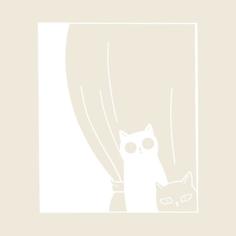 Black and White Cats