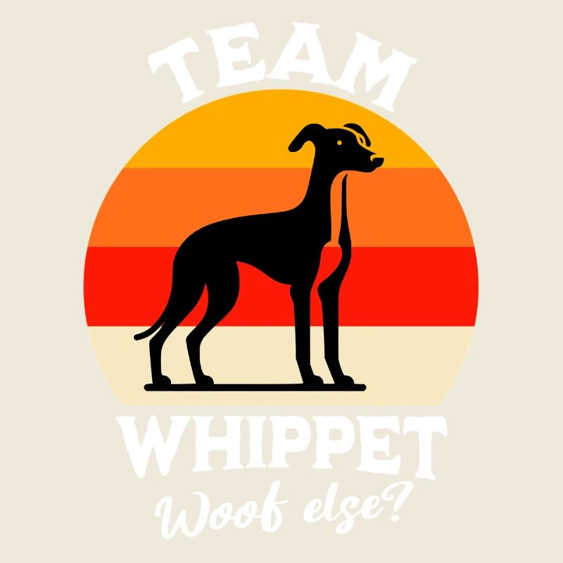 Équipe Greyhound