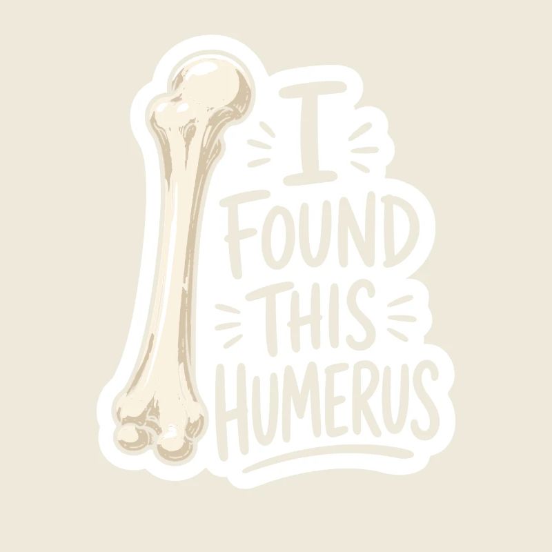 Autocollant Découverte d’Humerus