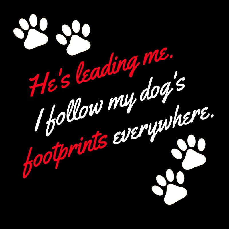 ich folge den Spuren meines Hundes