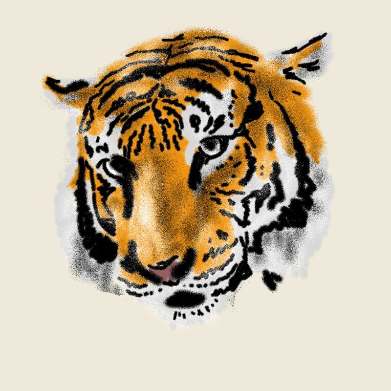 tiger