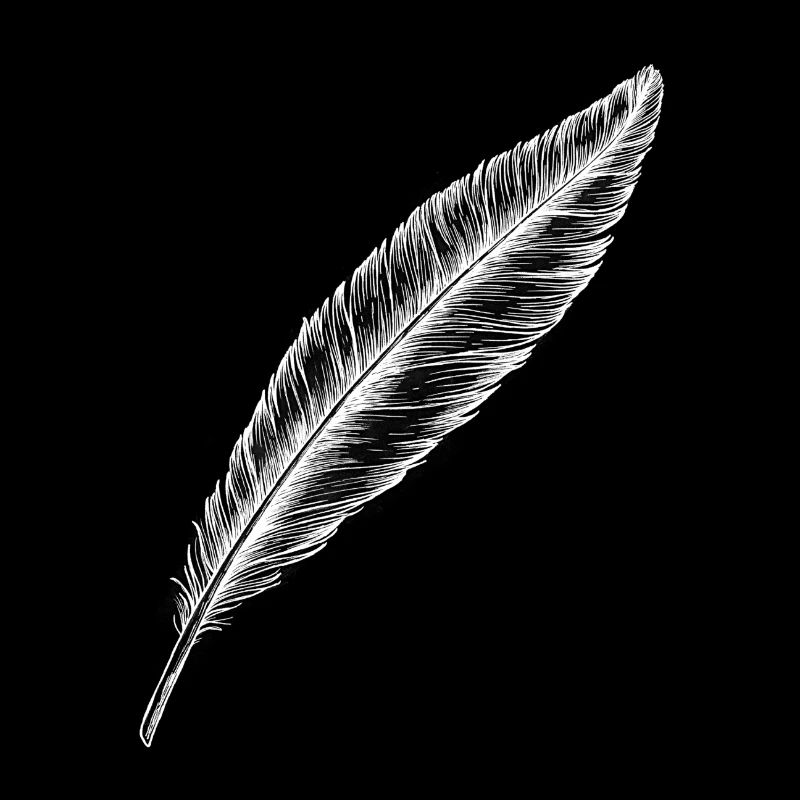 Elegant Bird Feather in Black and White