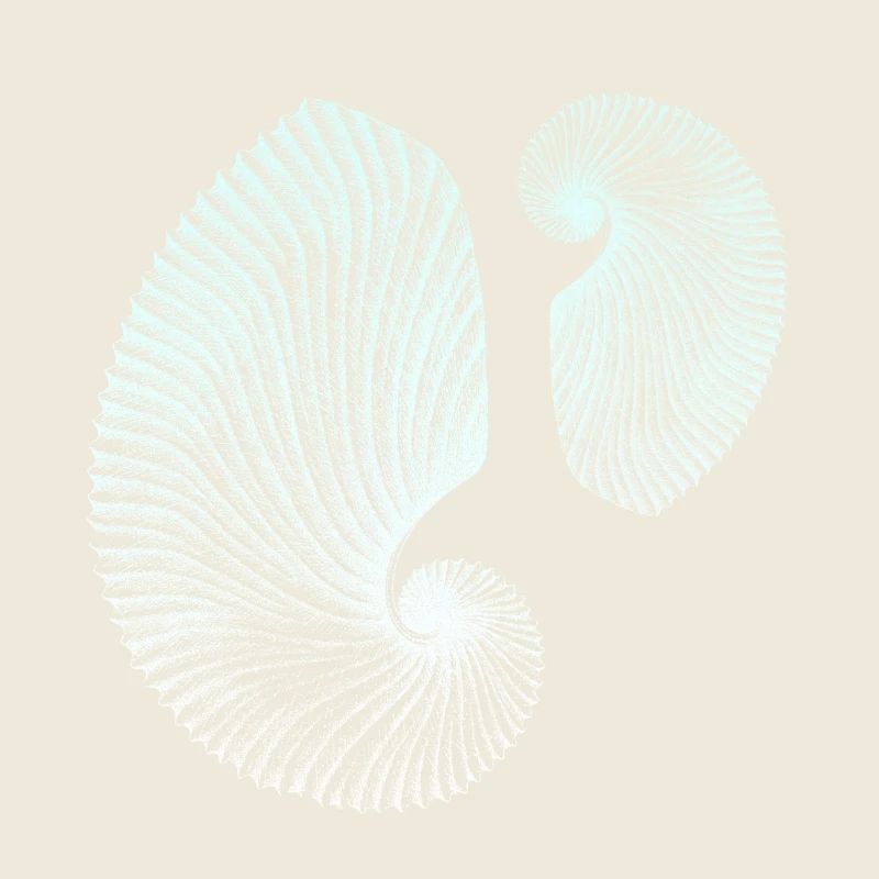 Minimalist spiral marine patterns