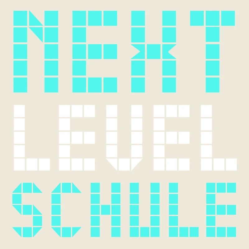 Next Level Schule