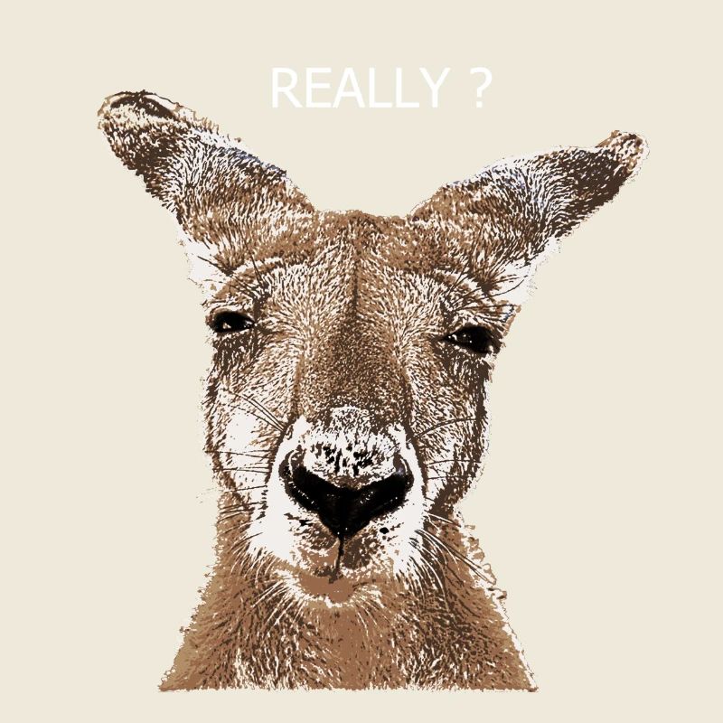 Kangaroo really?