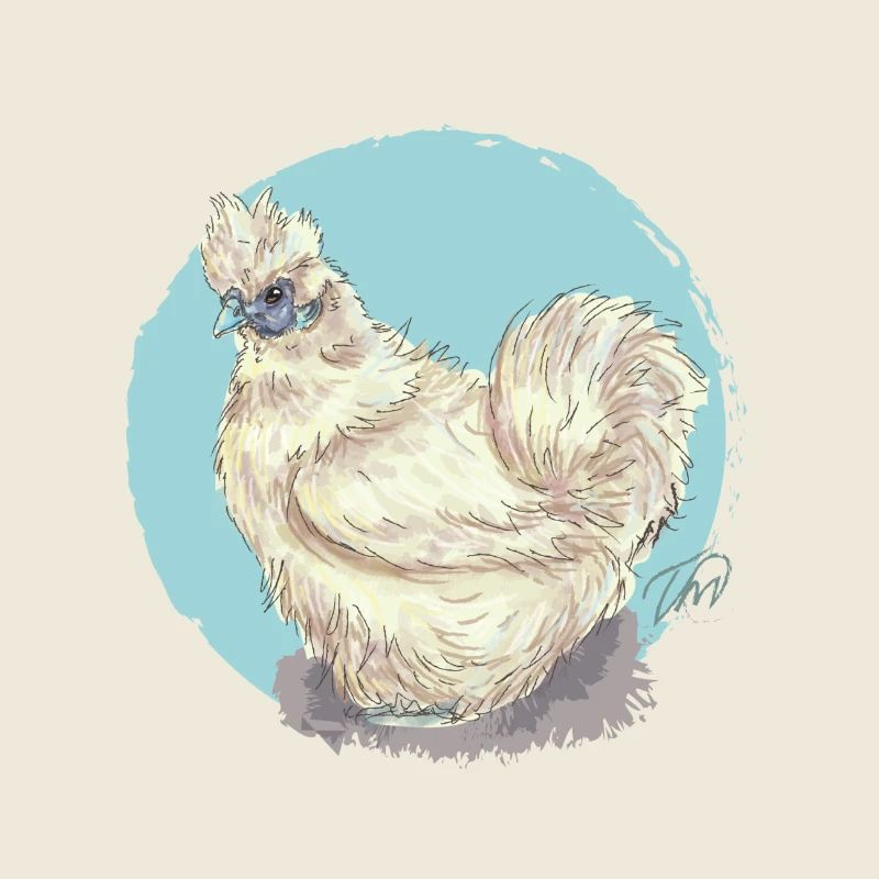 White silk hen