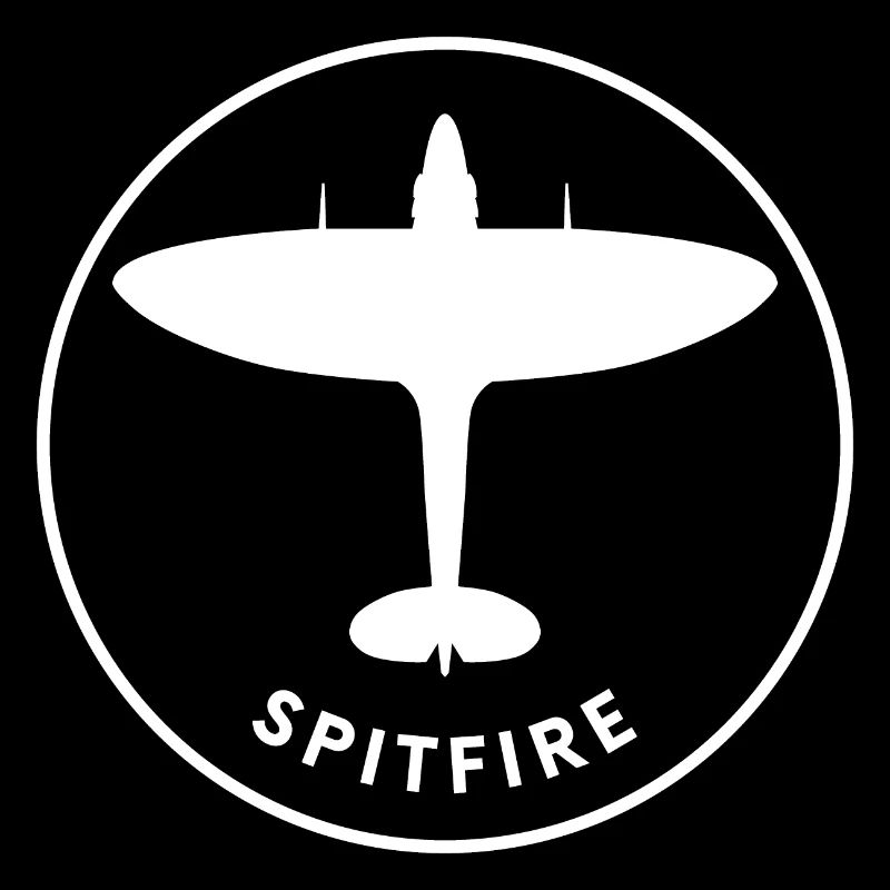 Spitfire fighter plane