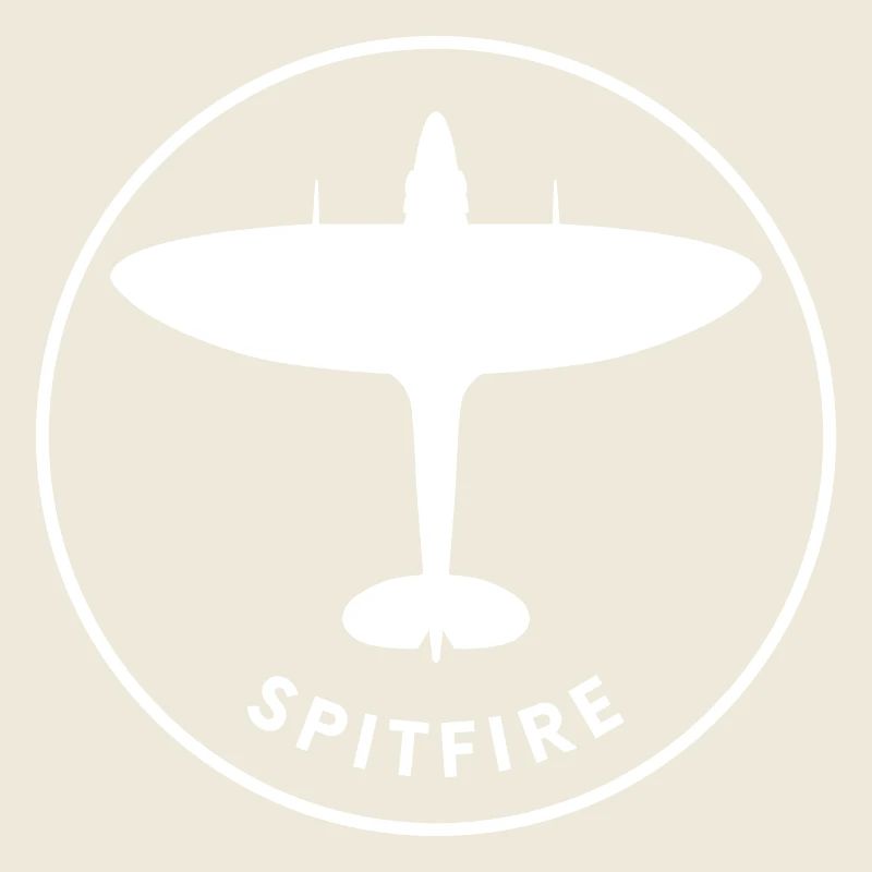 Spitfire fighter plane