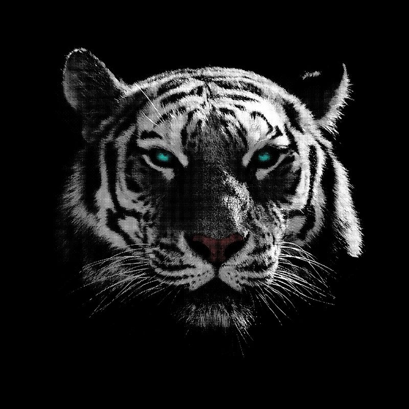 White Tiger