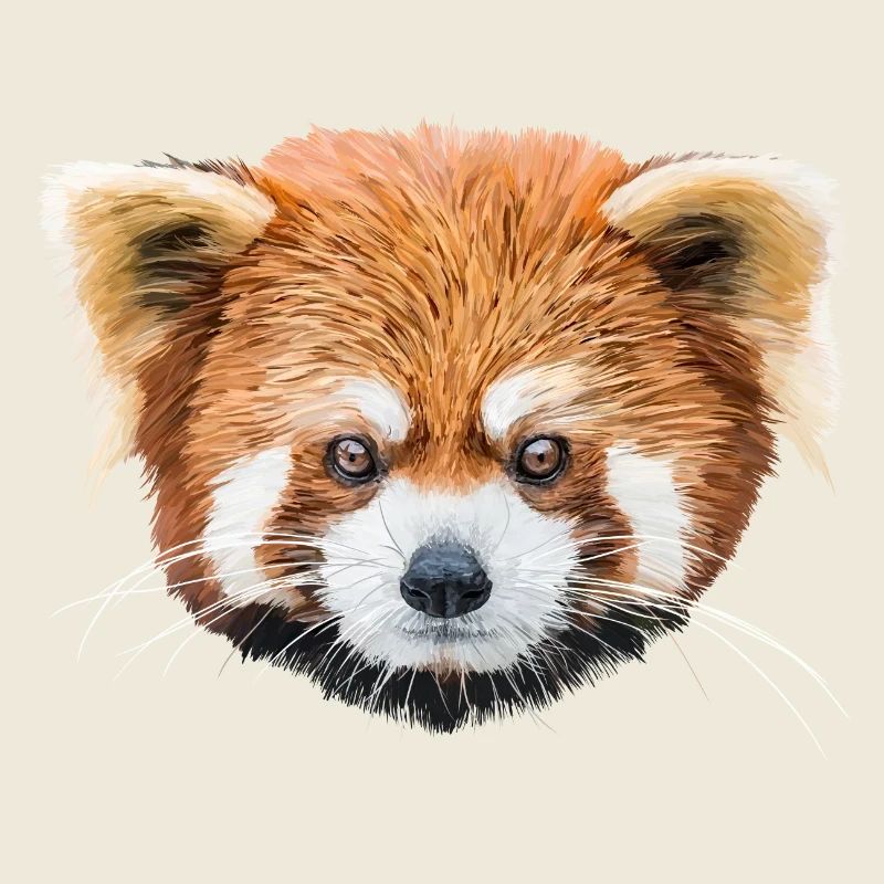 Red panda