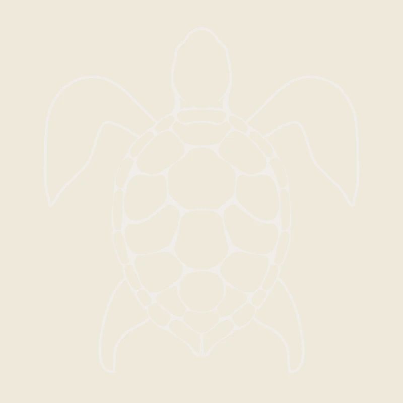 Turtle Lineart