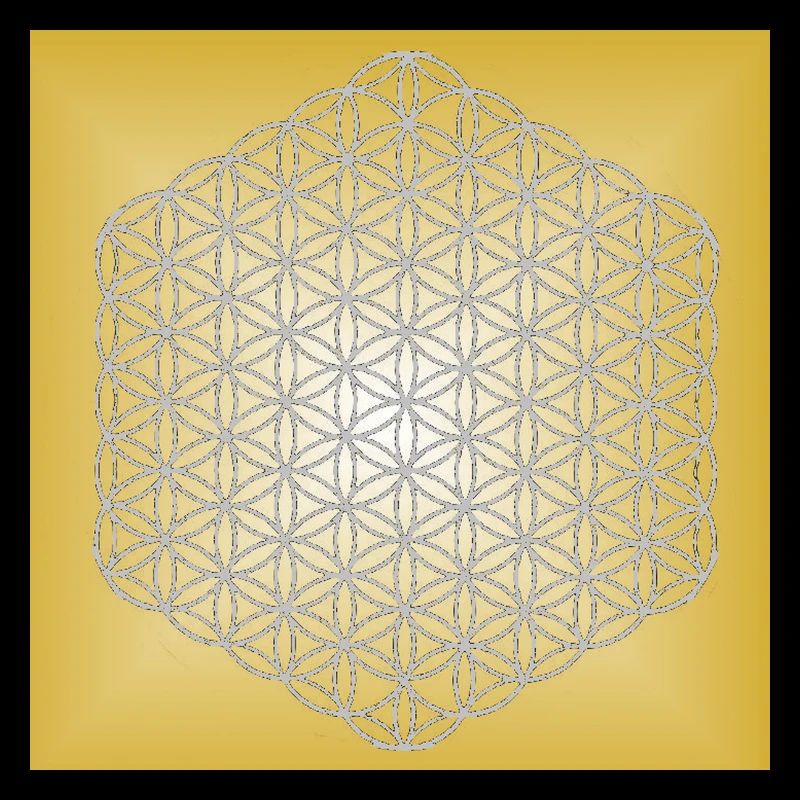 Blume des Lebens silber - 5. Dimension