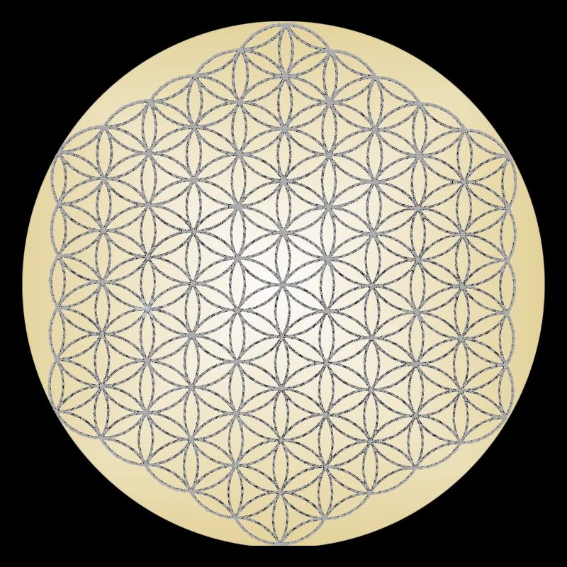 Blume des Lebens Silber - 5. Dimension - Mandala