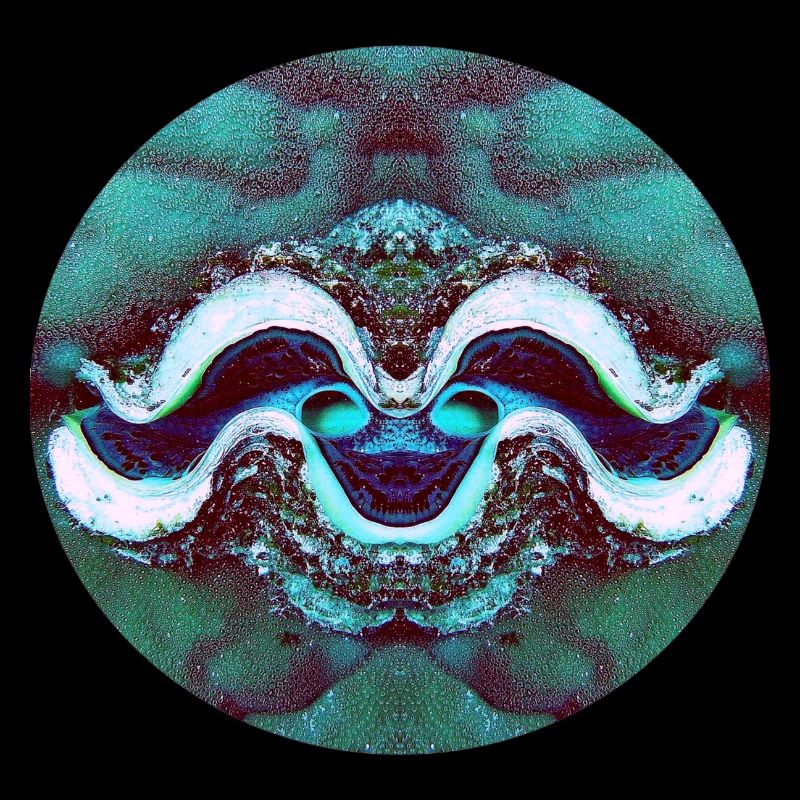 Nature Mandala Smiling Shell