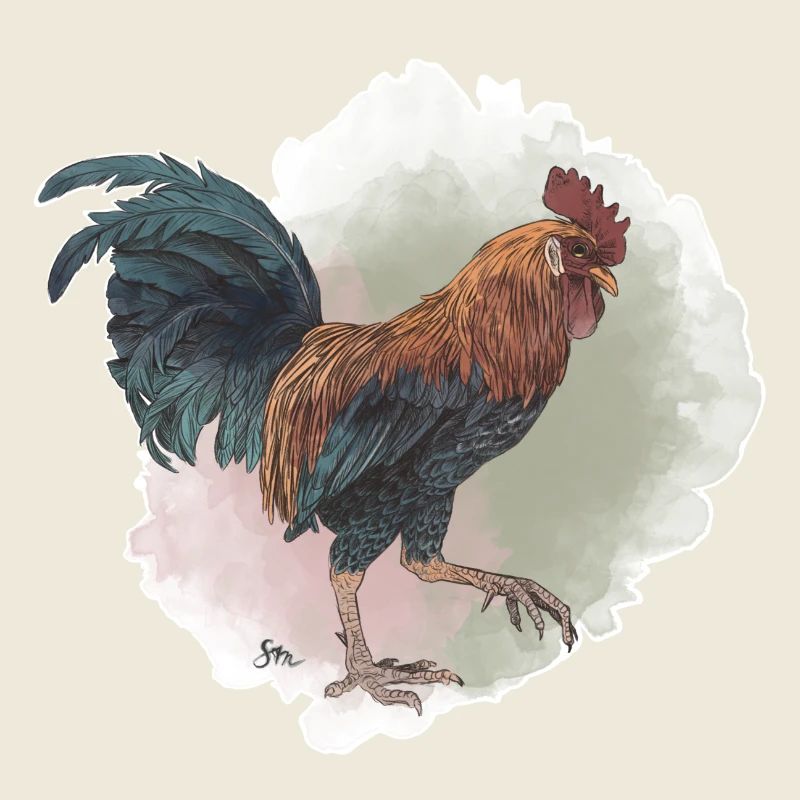 Veganuary 2024 Coq