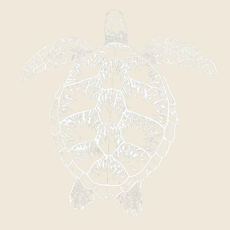 Turtle white2