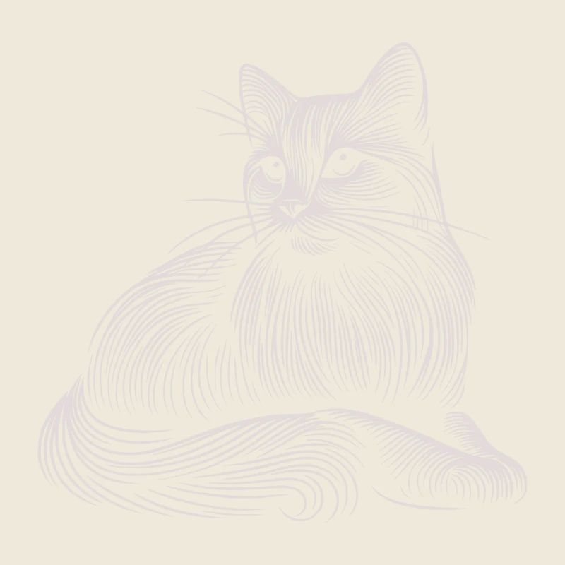 White Cat Patterns Light Strokes