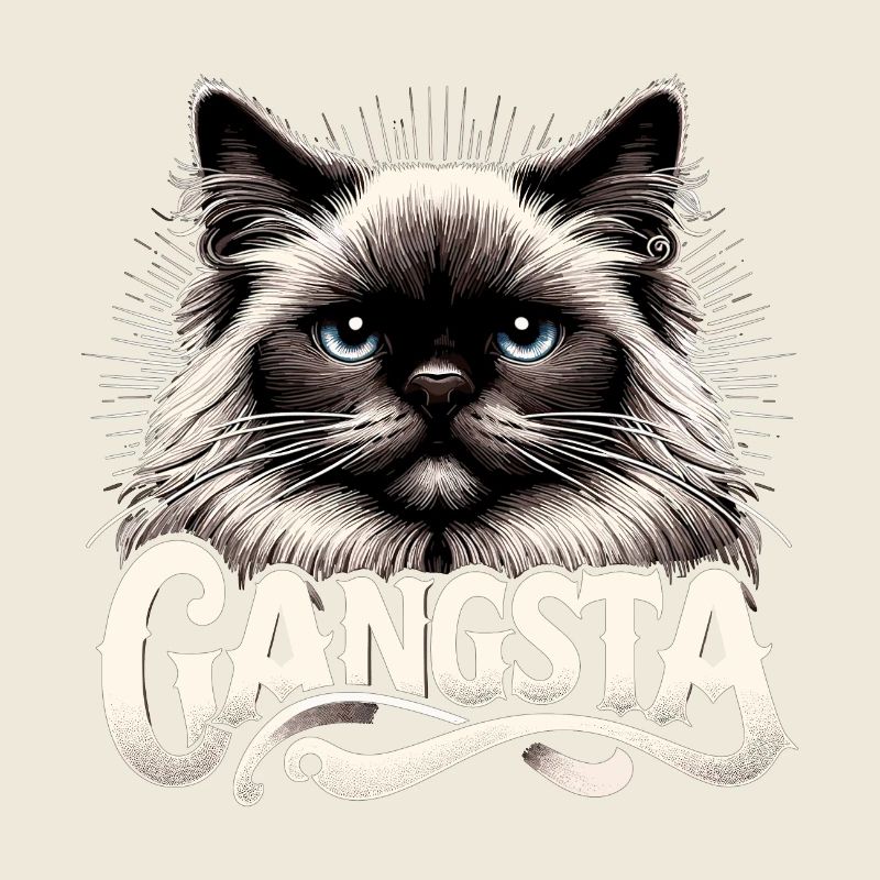 Chat Birman Sacré Chat Birman Gangsta Cadeau