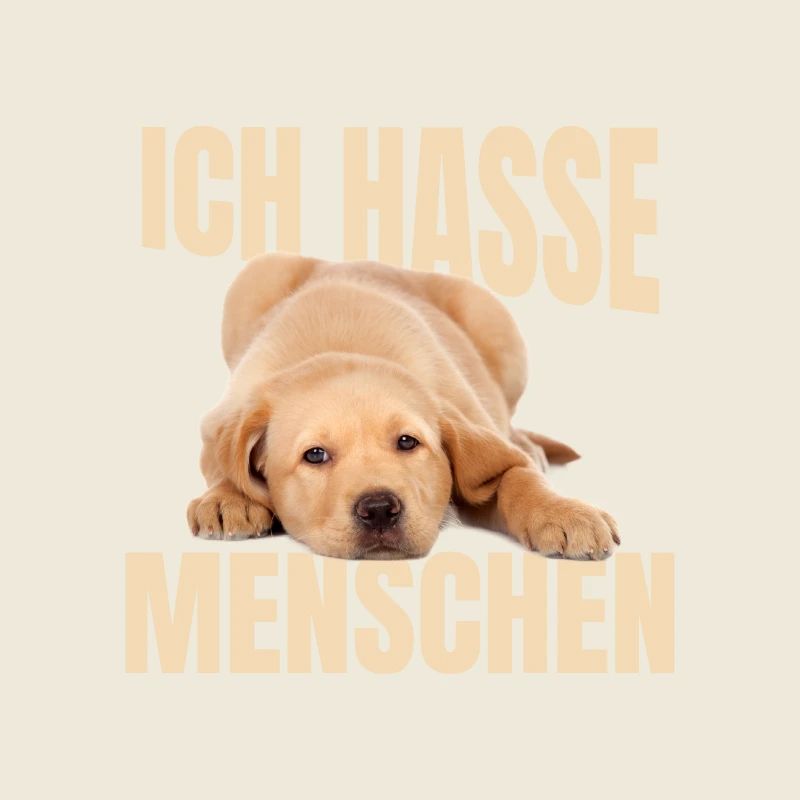 Labrador Meme